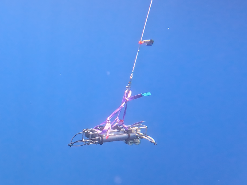 Sistema de filtración eDNA en el agua
