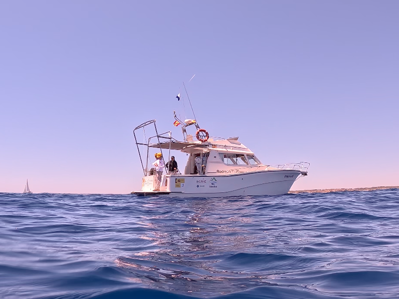 Arranca la primera campaña de muestreo de RECONECTA en las Islas Baleares